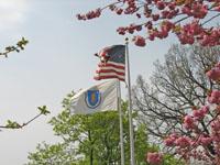 MA State and United States of America Flags